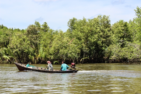 Put-putting along among the mangroves